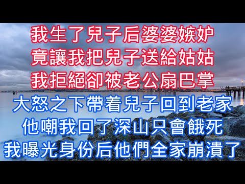 我生了兒子後婆婆嫉妒，竟讓我把兒子送給姑姑，我拒絕卻被老公扇巴掌，大怒之下帶着兒子回到老家，他嘲我回了深山只會餓死，我曝光身份後他們全家崩潰了#老人感悟#為人處世#生活經驗#情感故事#爽文#家庭