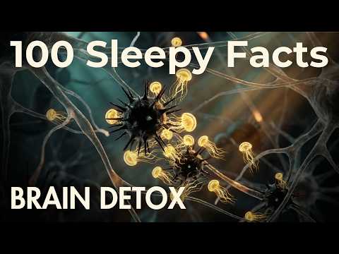 How Your Brain Fights Stress When You Sleep? Sleepy Mind Science