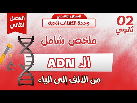 ثانية ثانوي⭐ اقوى ملخص شامل حول ADN⚡ مراجعة لاختبار الفصل الثاني 💯