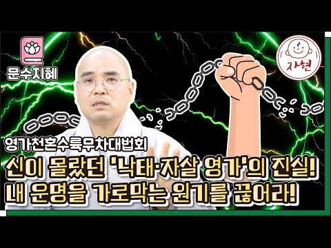 [문수지혜]"개인적 불행은 없다!" 내 삶을 꼬이게 하는 억울한 '원혼'들의 충격적 진실 - 영가천혼무차대법회