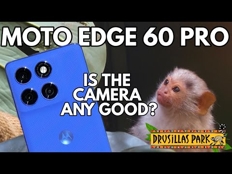 Motorola Edge 60 Pro: Is The Camera Any Good?