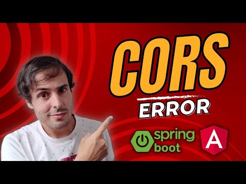 Solution of the Cors Error From a Spring Boot and Angular Application