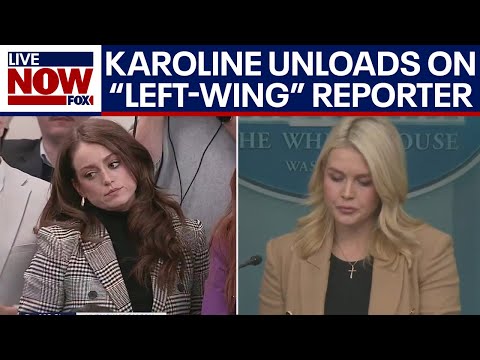 Leavitt unloads on reporter over ICE in Minneapolis