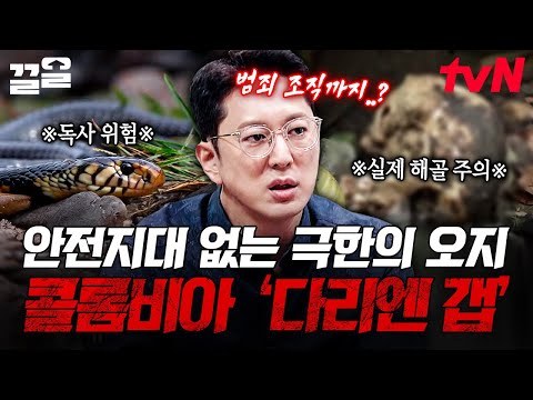 '이곳'에 함부로 접근하지 마시오⚠️ 위험이 도사리고 있는 공포의 오지, 콜롬비아 다리엔 갭ㄷㄷ | 프리한19
