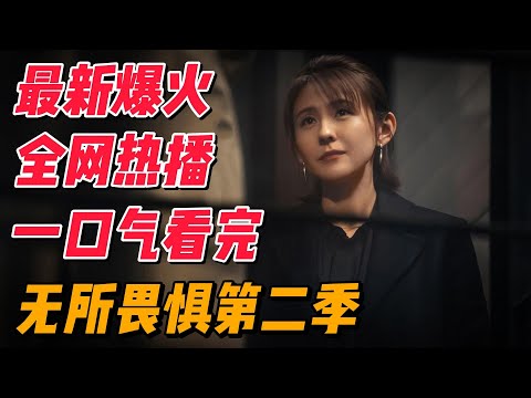 【精华完整版】一口气看完最新爆火《无所畏惧》第二季#影视解说 #中国电视剧