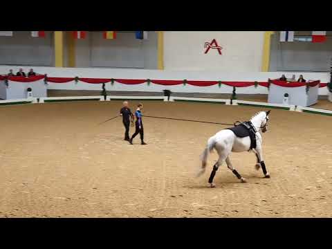 EM2025  Nationenpreis Sven BRONCE