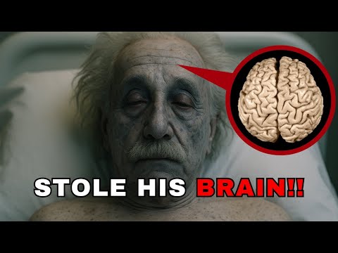 Why Was Einstein's Brain Stolen 7 Hours After His Death?