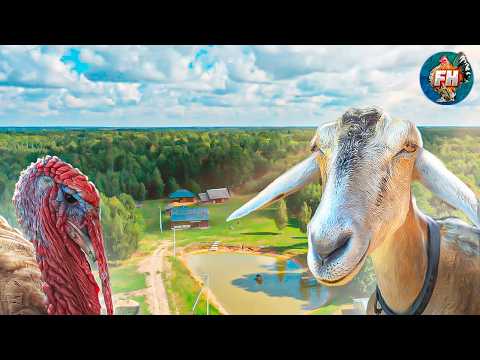 One Day in the Life of a Family Surrounded by Nature and Animals 🐑🔥.
Preparing catfish for fire