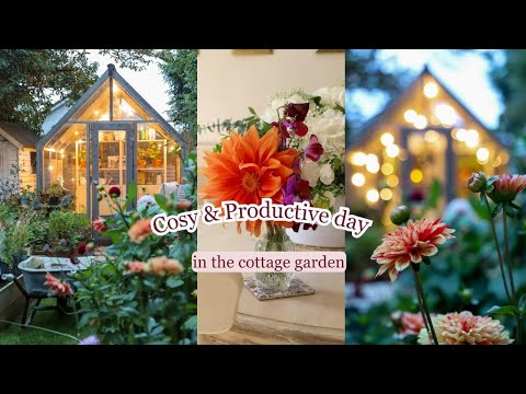 A relaxing and productive day in the garden, herbs and finding treasure 🌻