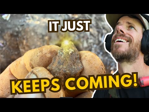 How Is There So Much Gold Here? They Missed It All!