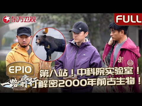 【#一路前行2 EP10】最终站！胡歌小分队来到了中科院实验室,解密2000年前古生物！一起在中国顶尖的科学殿堂里寻找生命的答案！｜#胡歌 ｜#一路前行第二季｜#陈龙｜FULL