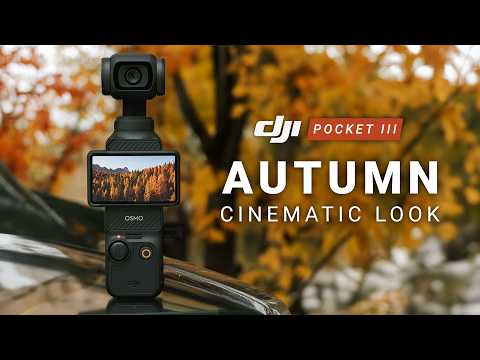 DJI Autumn LUT Pack | Transform Your Fall Footage in Seconds!