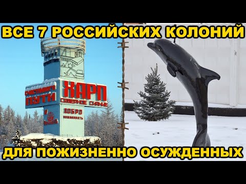 Все 7 колоний для ПОЖИЗНЕНО ОСУЖДЕННЫХ в России