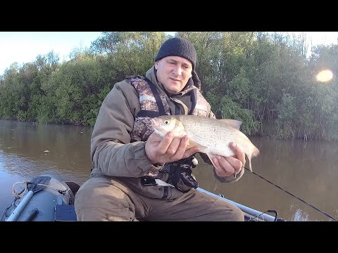 How to set a dragline on the current and catch fish. Chulym June 4.