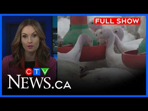 Confirmed case of avian flu | CTV News Windsor at Six for Feb. 24, 2026