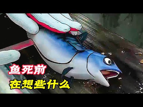 這條小魚在臨死前，居然有話要說，其他的魚都驚呆了！奇幻動畫電影《啪啪啪聲》。電影，短片，成精，解說，搞笑，動畫，動作，喜劇，獵奇，奇幻，腦洞，科幻，超能力，short film