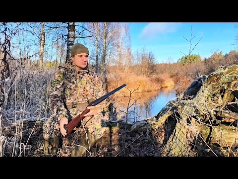 Scouting new locations yielded results. Beaver hunting from a walking approach with a Los-308 rifle.