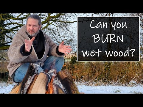 The myth of burning wet wood: learn the importance of drying firewood!
