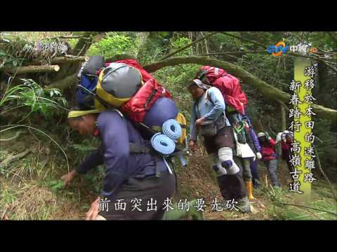 【MIT台灣誌 #504】新春踏行 高嶺古道-通往本田的迷離路_1080p