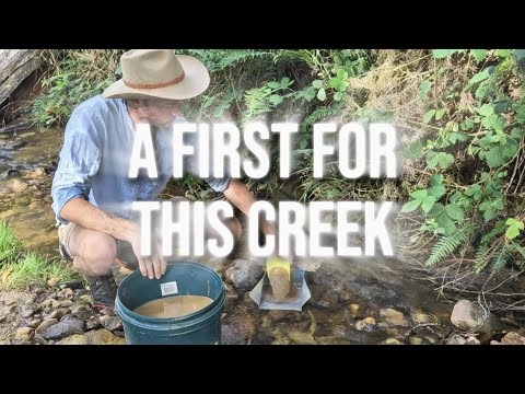 Gold & Gem Hunting in Victoria’s Ancient Volcanic Region | A Surprising Result