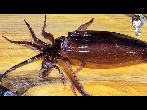 Korea Street Food SQUID SASHIMI Pohang Korea Seafood 04 Pohang Jukdo Market Soonja's Squid Sashimi