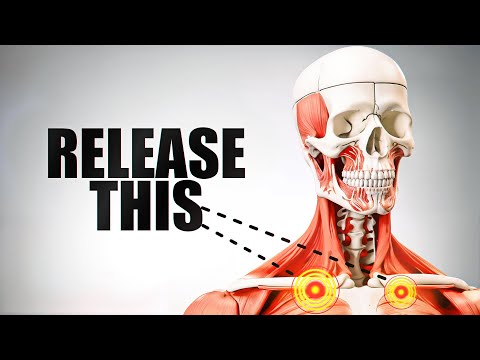 This Key Muscle Unlocks Your Neck