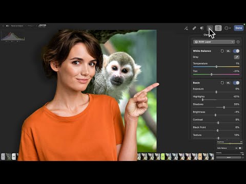 Apple's so called Lightroom REPLACEMENT – Photomator
