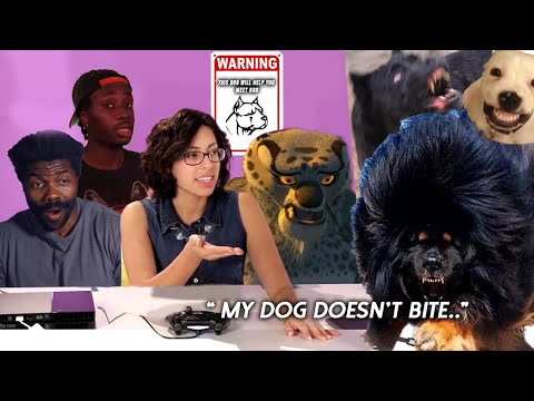 Dogs That Will Send You to D.O.G backwards | The Chill Zone Reacts