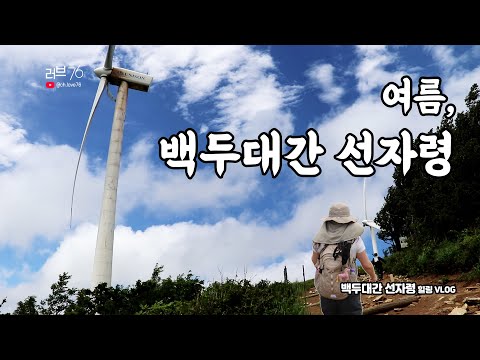 [여름 산행 추천] 대관령 백두대간 선자령 풍력발전기 코스🌲 시원한 바람과 절경의 연속 #선자령 #바람의언덕 #평창