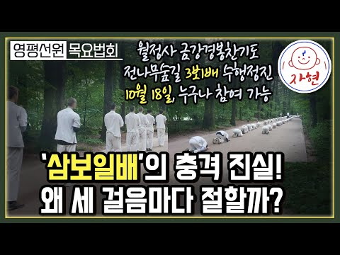 절의 의미와 3보1배의 가피 - 자현스님의 목요법회 | 영평선원 라이브 방송