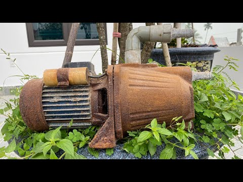 Free Restoration of Electric Water Pump For Farmer