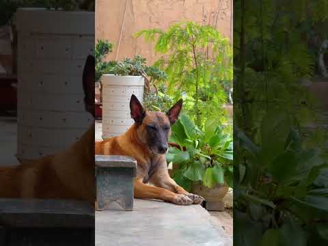 关于童年里的夏天,在此刻具象化了【小白的奇幻旅行】