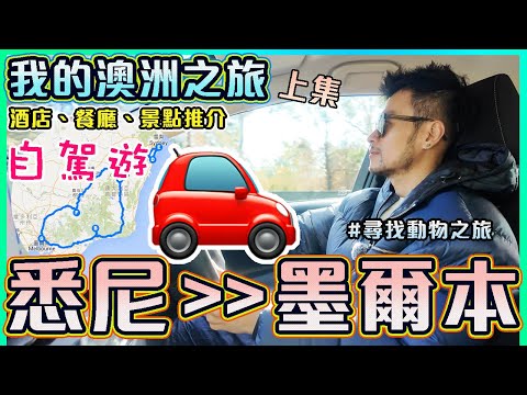 【澳洲自由行 - 上集】✨穿越澳洲最美海岸線！🚗 🚗900公里悉尼到墨爾本自駕，沿途美到窒息！🦭海獅+🐨樹熊+🦘袋鼠+🐧 企鵝+⛰️懸崖+🌊無盡海洋｜Australia Travel Vlog