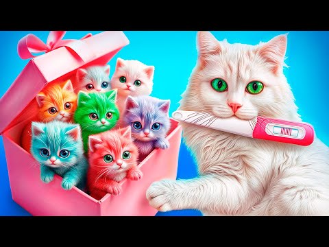 Мы спасли бездомную кошку! Строим домик для котят