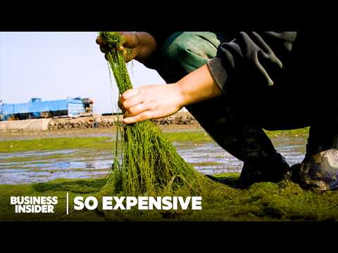 Why Michelin-Starred Chefs Are Paying Premium For One Of Korea's Rarest Seaweeds | So Expensive