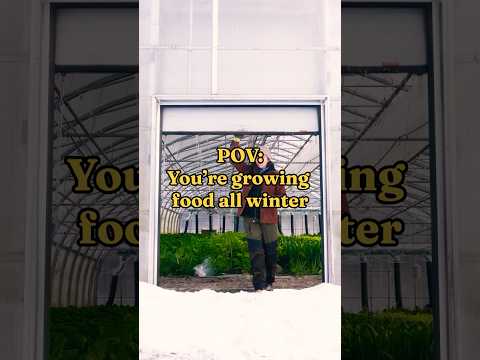 Want To Learn How To Grow Crops All Winter? ❄️ #winterfarming #greenhousefarming #wintergardening