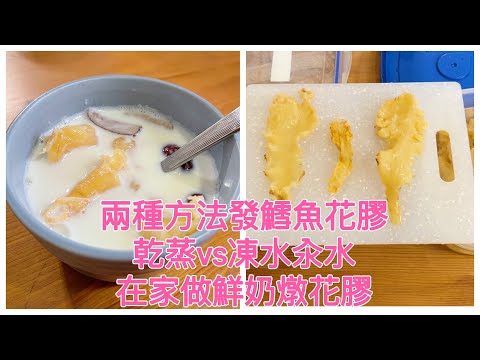 發鱈魚花膠全記錄: 比較乾蒸VS凍水汆水｜做鮮奶燉花膠 | How to prepare Fish Maw & make Steamed Milk Fish Maw in cheapest way