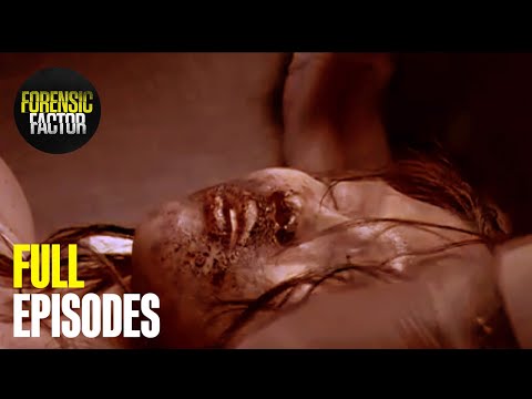 Murder in a Suitcase & Russian Crime Ring | Forensic Factor Double Episode