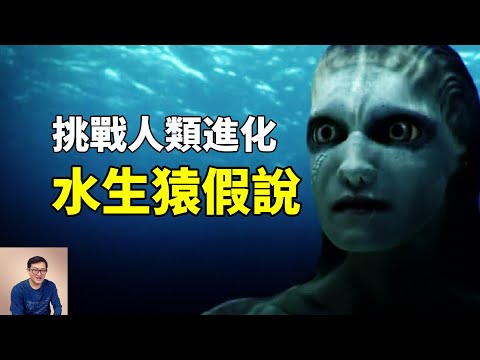 人類是由海洋生物進化來的？水生猿假說挑戰人類起源理論 Aquatic ape hypothesis【老肉雜談】