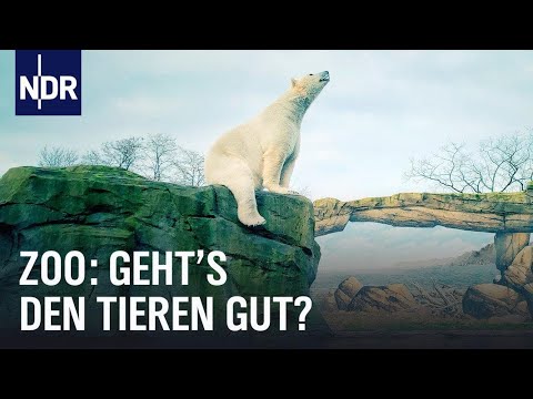 Das System Zoo | NDR | Doku | 45 Min