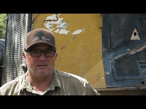 SWAMP LOGGERS NC / BEAVERS, BEAVERS, BEAVERS...