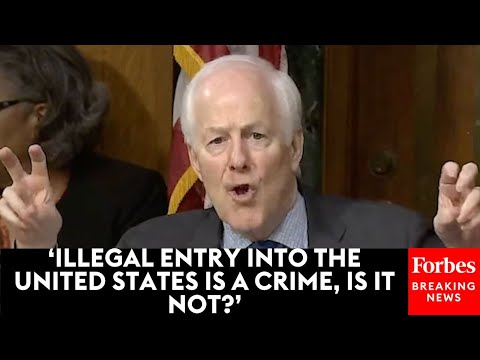 John Cornyn Mocks Concept Of 'Otherwise Law-Abiding' Illegal Immigrants To Former ICE Special Agent