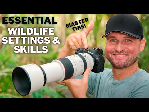 GO-TO SETTINGS For Bird & Wildlife PHOTOGRAPHY  | Have YOU Mastered The MOST IMPORTANT SKILL?