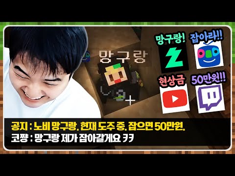 아프리카, 치지직, 트위치 총 출동!