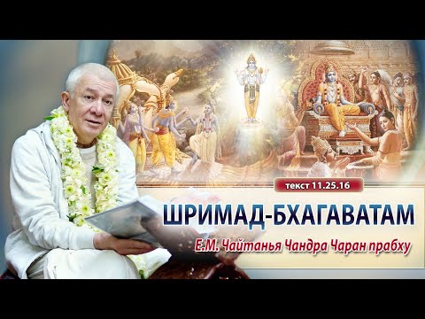 Шримад-Бхагаватам ШБ 11.25.16 Е.М. Чайтанья Чандра Чаран прабху. Вриндаван Парк