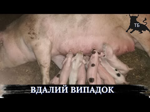 №14. Додатковий підзаробіток. І мені раз у рік може підфортити.