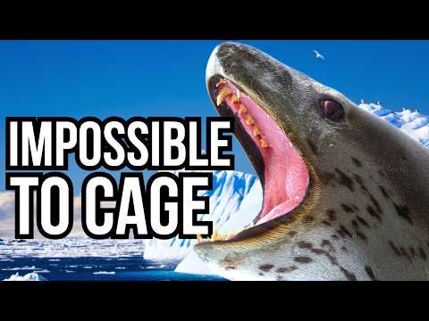 7 Animals That Are Impossible To Keep In Captivity