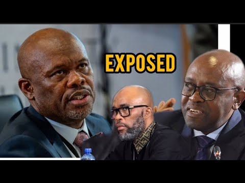 Watch Madlanga Grilling Gen Sibiya on receiving 20 impalas from Cat Matlala : Brown Mogotsi 