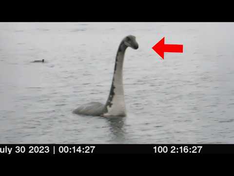 60 Extinct Sea Animals Caught ALIVE on Camera!