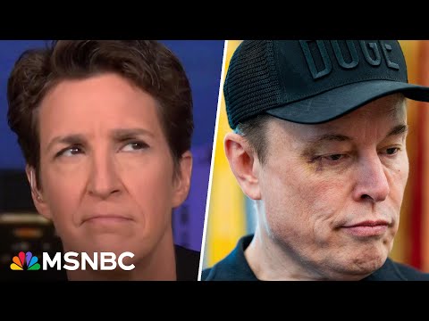 'Pure pointlessness and waste': Musk legacy seen in botched, illegal grab of independent group